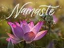 Namaste Have a Nice Day eCards