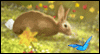 Welcome Spring!