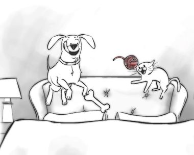 'I'm So Excited' Thinking of You Have a Nice Day eCards