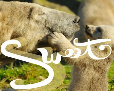 Happy Mother's Day God Only Knows Song