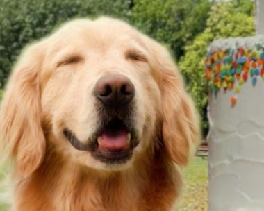 All You Wish For "Chariots of Fire" Theme Birthday eCards