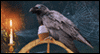 Enchanted Tea Party