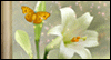 Easter Morning