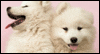 Valentine's Day<br>'God Only Knows' Song