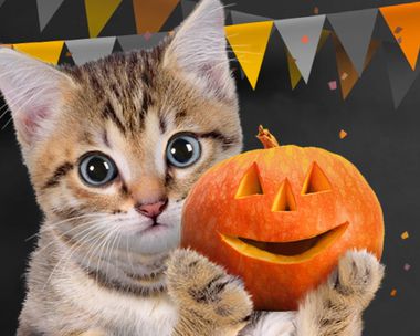 Better Beware Halloween eCards