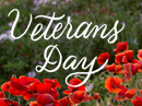Land of the Free Veterans Day eCards