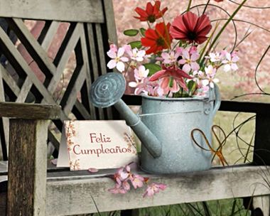 Ramos de Cumpleaños