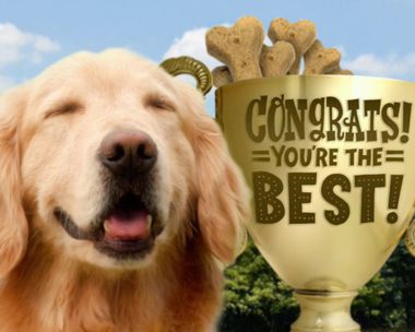 Best Congrats Chariots of Fire