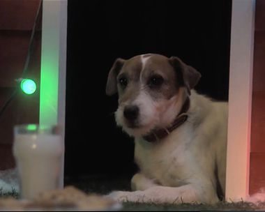 Birthday Wishes Come True