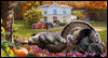 Giving Thanks