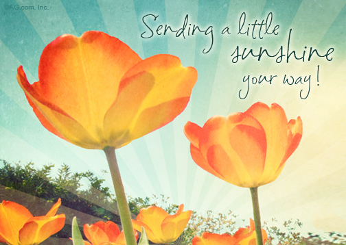 "Sending You Sunshine" | Summer eCard | Blue Mountain eCards