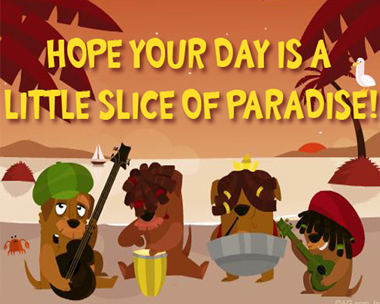 Slice of Paradise Reply Card