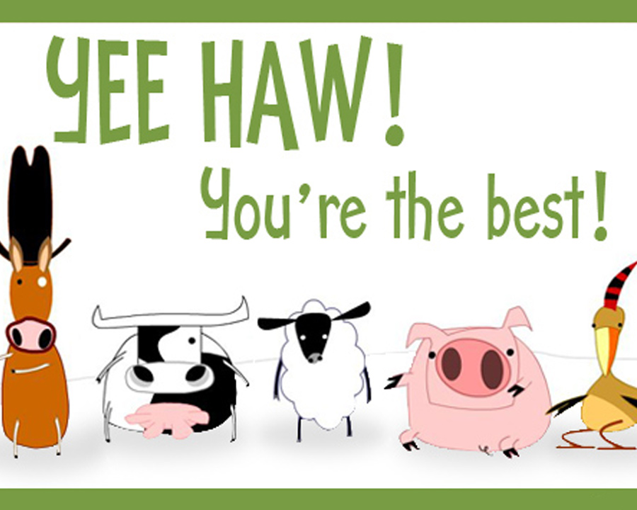 "You're the Best Reply Card" Postcards Blue Mountain