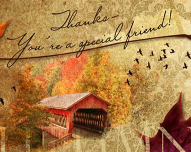 Thanks, friend Reply Card