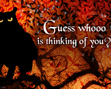 Guess Whooo Reply Card