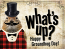 Groundhog Day Groundhog Day eCards