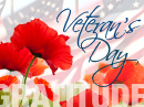 Veteran's Day Gratitude Veterans Day eCards