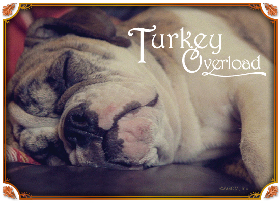 Turkey Overload Ecard (Postcard) artwork