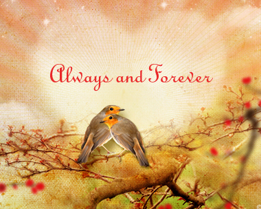 Always & Forever Reply Card