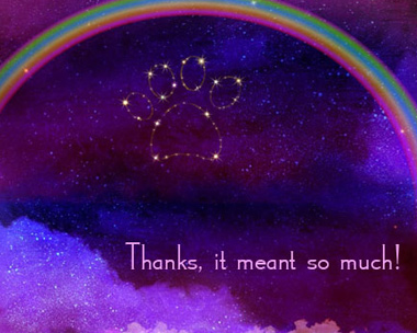 Thanks for Caring Reply Card