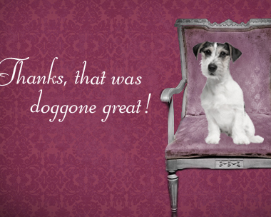 Doggone Great Reply Card