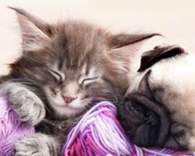 From My Heart Reply Card