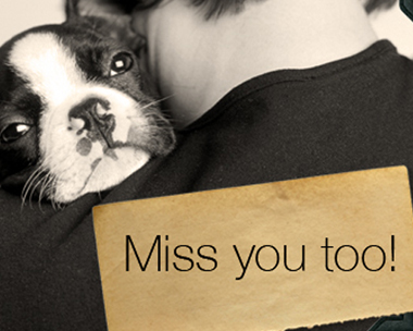 Miss You Too Reply Card