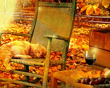 Wine, Dine & Recline