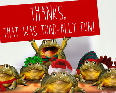 Toad-ally Fun Reply Card