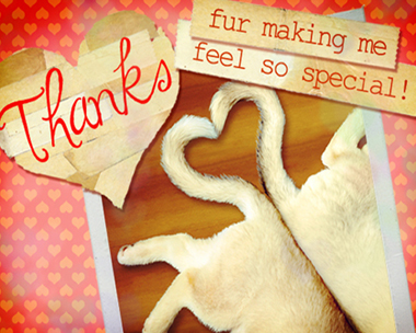 Special Thanks Reply Card