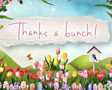 Thanks a Bunch Reply Card