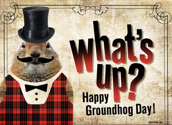 Groundhog Day Ecard (Postcard) artwork