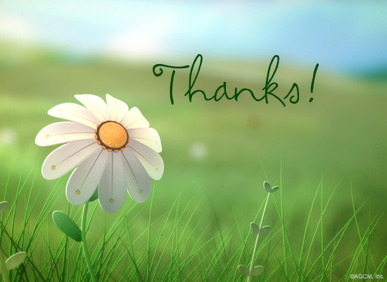 Gratitude Reply artwork