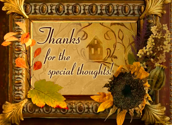 Special Thoughts Reply artwork