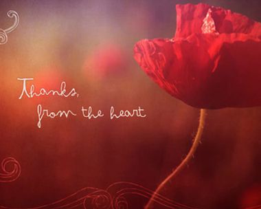 Thanks from the Heart Reply