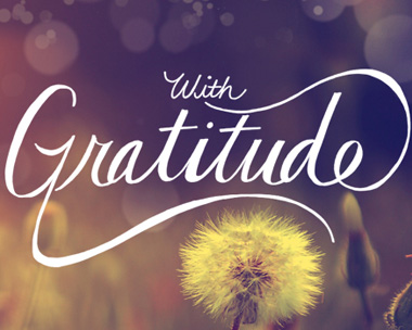 With Gratitude Reply Card