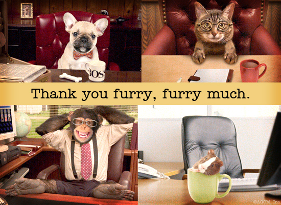 Furry Nice Reply artwork