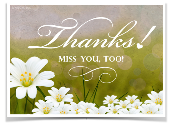 Miss You, Too Reply artwork