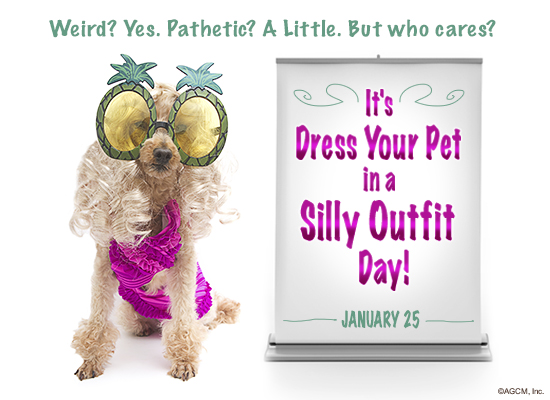 1/25 Dress Your Pet Day Ecard (Postcard) artwork
