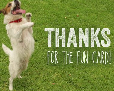 Fun Thanks Reply Card