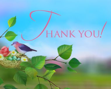 Thank You! Reply Card