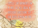 Family Tree Quote Postcards