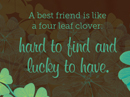 Four Leaf Clover Quote Postcards