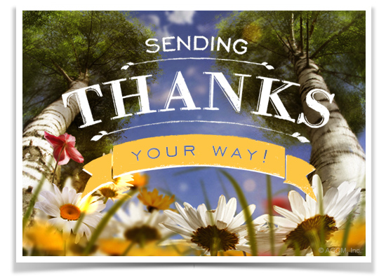 Sending Thanks! Reply | American Greetings