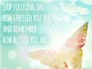 You are Blessed Quote Postcards