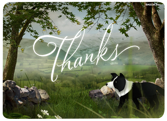 A Wee Bit o' Thanks Reply artwork