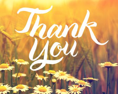 Thank You Reply Card