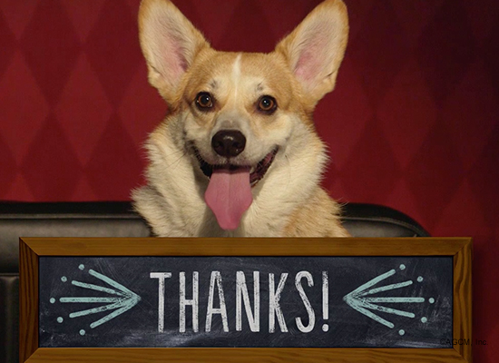 Thanks Reply artwork