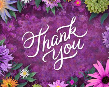 Thank You Reply Card