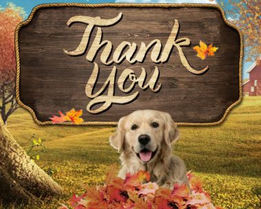 Thank You Reply Card